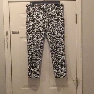 Animal print Cache’ jeans.  Like new.